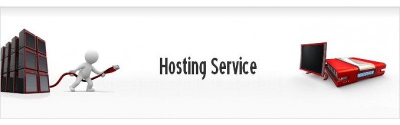 Web hosting WEB 1